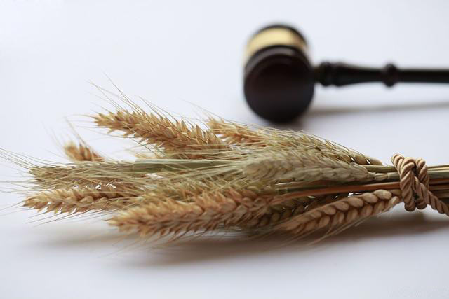 图片11.jpg 图片11.jpg